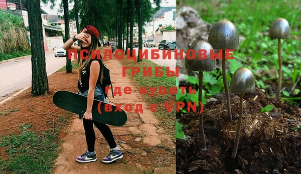 прущая мука Алексеевка