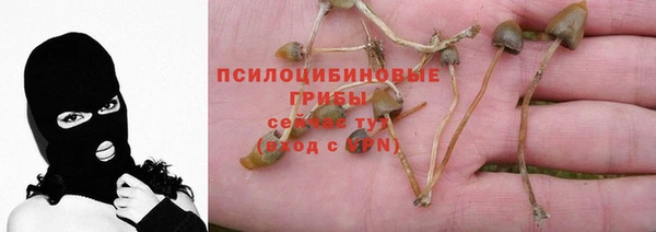 хмурый Алзамай