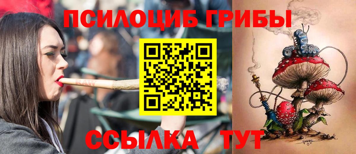 Ижевск  Псилоцибиновые грибы Psilocybine cubensis  Вход с VPN 